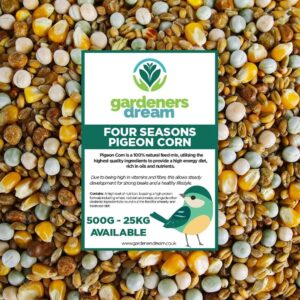 GardenersDream Four Seasons Pigeon Corn | Premium Grade Natural Food Mix | Rich in Nutritious Oils, Vitamins and Minerals | Perfect Year-Round Wild Bird Seed Feed | High in Energy & Protein (5kg)