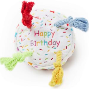 Pet London Dog Birthday Cake Squeaky Soft Plush Toy with Rope Candles in Fun Happy Bright Colours - Celebrate Your Dog's Happy Birthday - Plush Rainbow Pattern Dog Party Bday or Adoption Gift (Small)