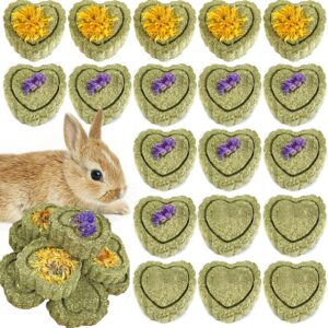 RoadLoo Rabbit Chew Toys, 32Pcs Bunny Chew Toys for Teeth Natural Hay Chew Toy Chew Mats for Rabbits Boredom Breaker Small Rodent Pet Teeth Treats Toys