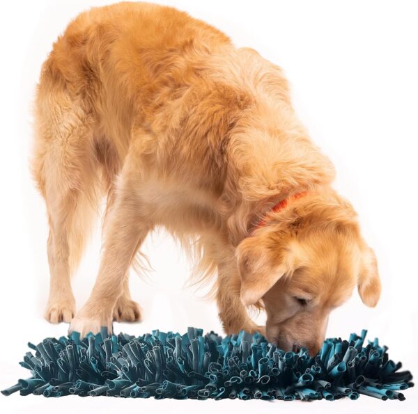 Paw 5 Dog Snuffle Mat for All Dogs. Dog Toys Interactive - Reduces Boredom & Anxiety. Premium Feeding Mat for Slow Eating & Smell Training. Dog Brain Stimulating Toys + Small Dog Bed