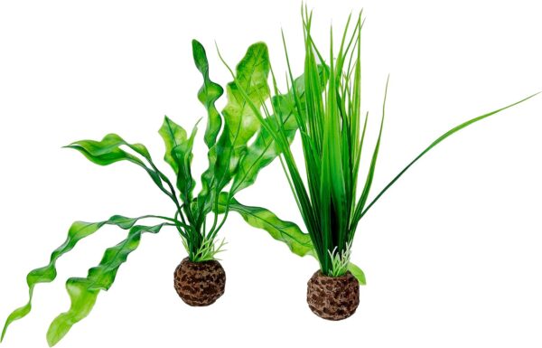 biOrb Plant Set S green