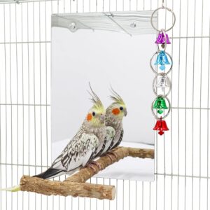 11.8 × 7.9 Inches Large Bird Mirror Toy with Perch Stand, Parrot Parakeet Mirror with Bird Swing Bell Toys, Bird Cage Accessories, Suitable for Parakeet Cockatiel Conure Lovebirds