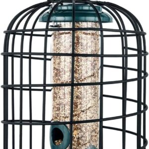 iBorn Squirrel Proof Bird Feeder with Squirrel, Pestoff Hanging Wild Bird Seed Feeder for Mix Seed Blends, Sunflower Heart, Birdbath, Heavy Duty All Metal Anti-UV Finishing, Green 8 Inch