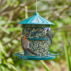 Window Bird Feeder