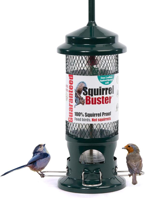 Squirrel Proof Bird Feeder for Seeds - Jacobi Jayne® Squirrel Buster® Seed Bird Feeder – Pigeon Proof Metal Bird Seed Feeder for Wild Birds – Easy Clean Hanging Seed Bird Feeder for Garden Birds