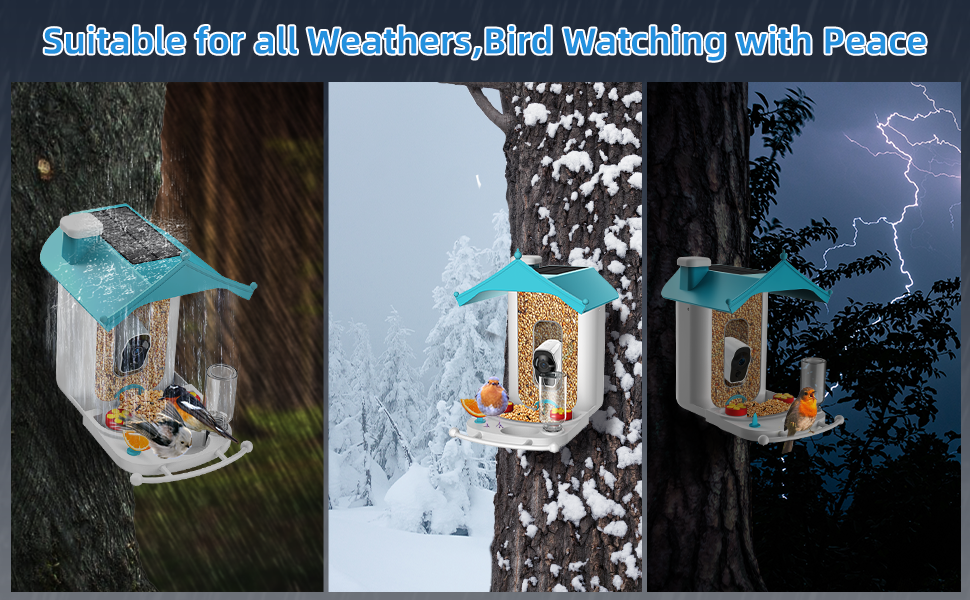 camera bird feeder