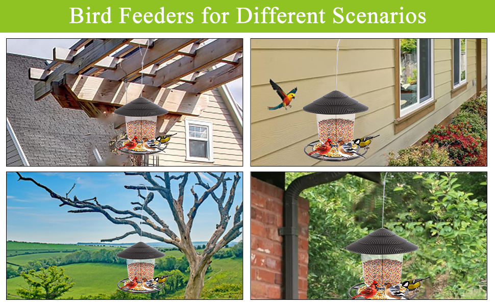 Bird feeders hanging 