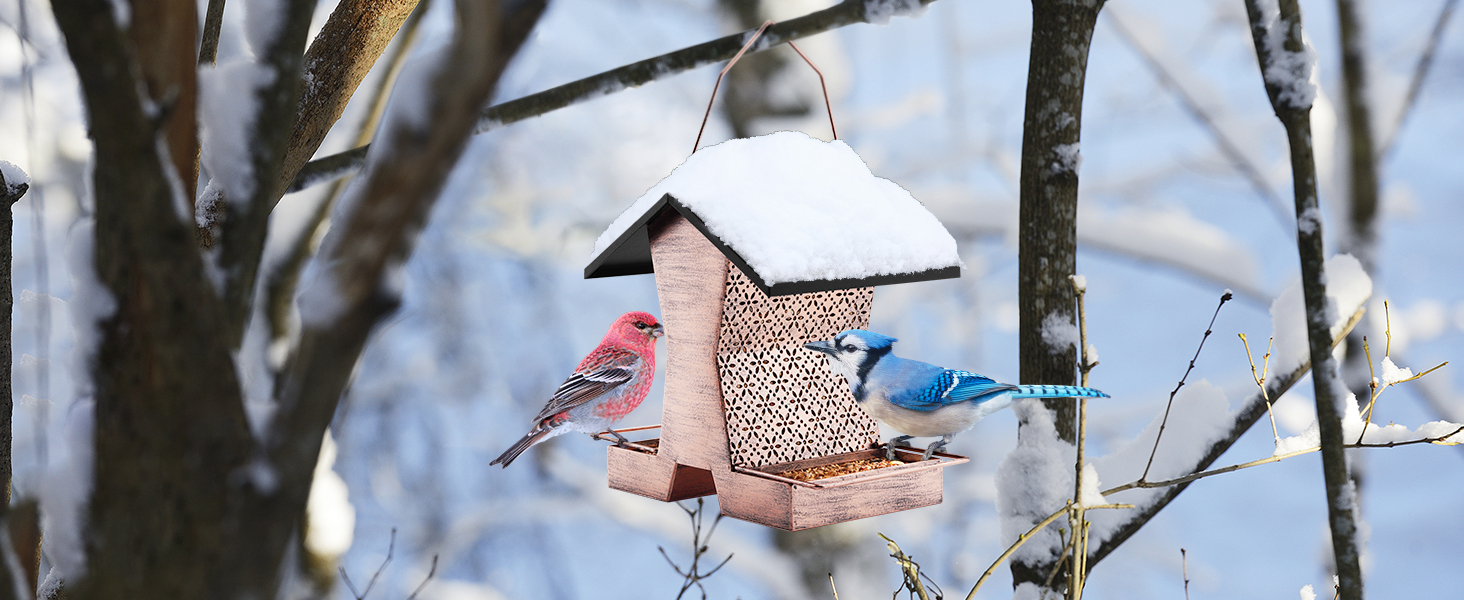 bird feeders hanging; bird feed; bird house; bird feeders for small birds; bird houses for garden