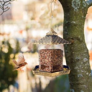 Urban Deco Bird Feeders Hanging Squirrel Proof Bird Feeder Plastic Bird Seed Feeder With Hexagonal Roof See Through Bird Feeder On Window Bird Feeders For Small Birds - Gold Goldfinch Feeder