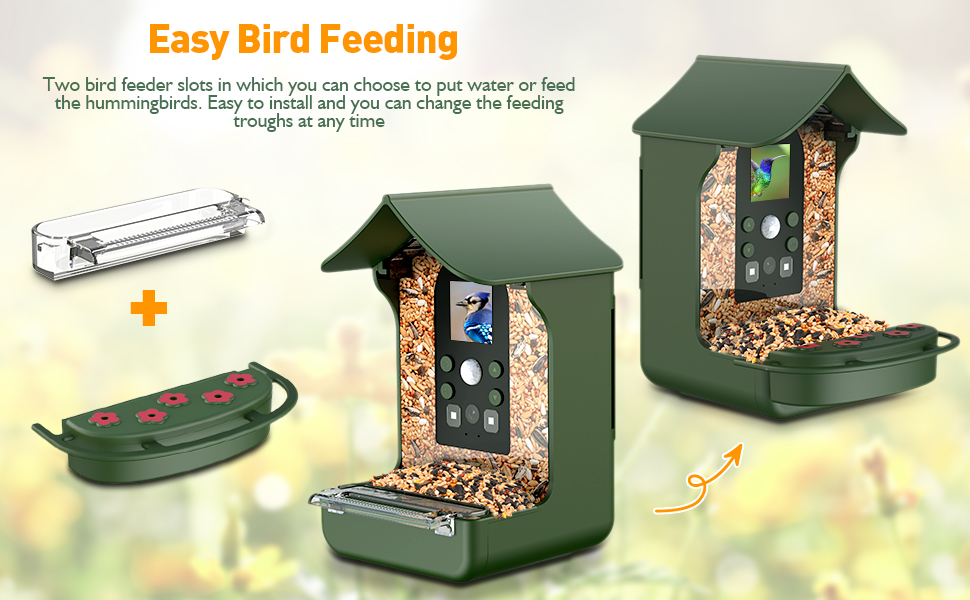 bird feeder