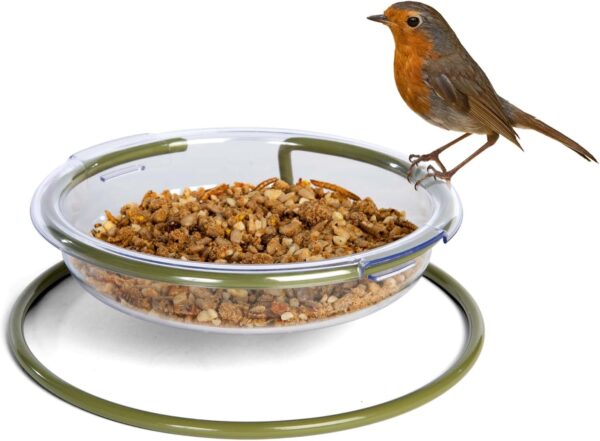 Garden Bird Feeder Tray - Mealworm And Robin Bird Feeder Jacobi Jayne® I Love Robins™ Easy Clean Treat Dish Ground Bird Feeder - Robin Feeders For The Garden