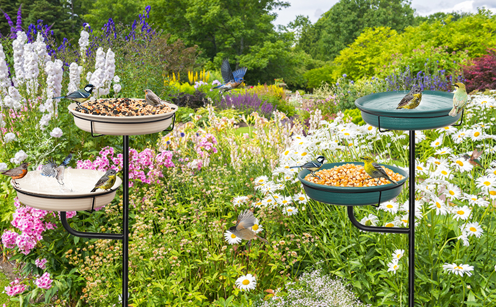 Bird Bath Garden for Wild Birds