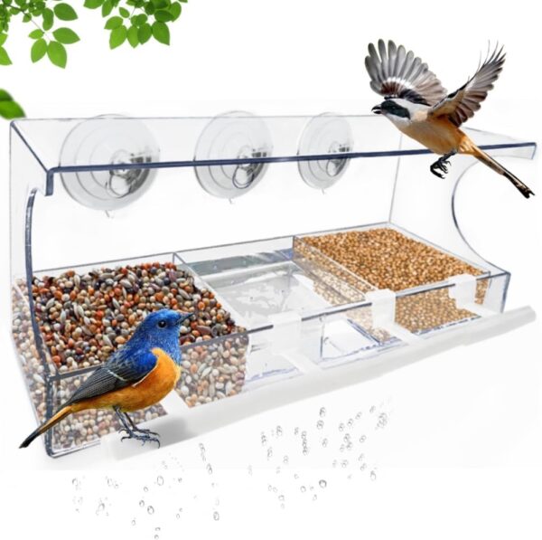 Window Bird Feeder, Bird House for Outside with 4 Rod, Acrylic Window Bird Feeder with Strong Suction Cups and Drain Holes