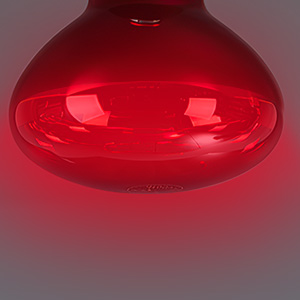 Infrared Reptile Heat Lamp Bulb