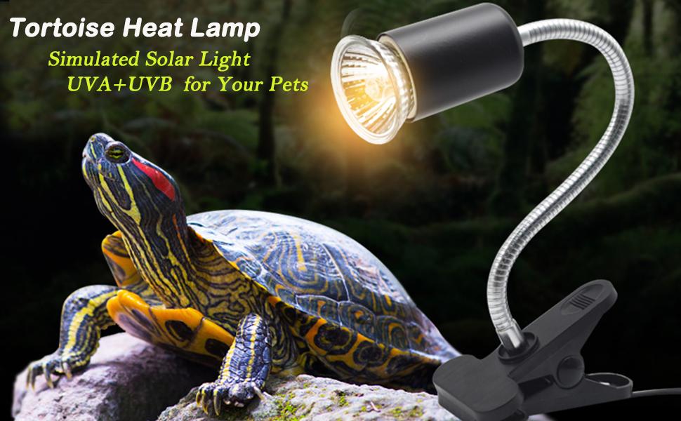 tortoise heat lamp