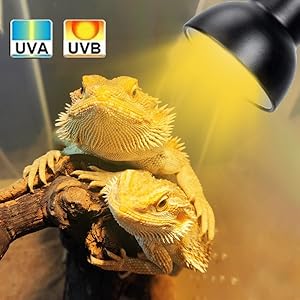 tortoise heat lamp reptile heat lamp uvb light reptile kit