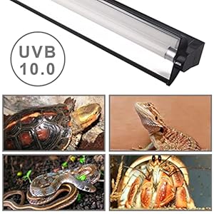 uv light