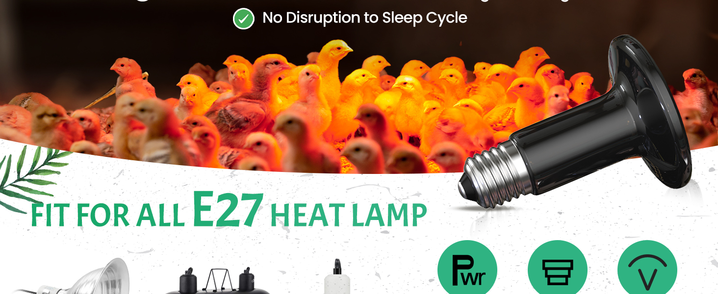 reptile heat bulb