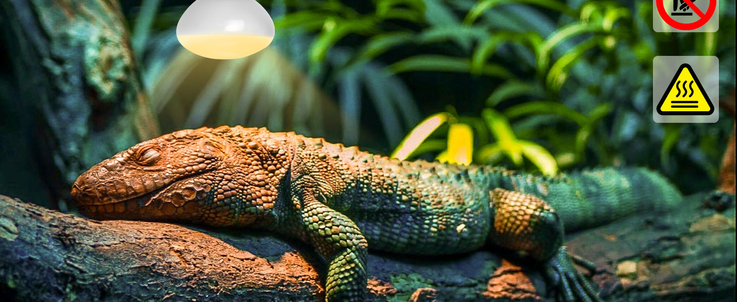 basking spot heat lamp