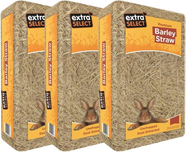 Extra Select Barley Straw Bedding - Soft Animal Bedding for Rabbit, Tortoise, and More - 2 kg (Pack of 3)