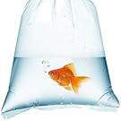 Fish Bag with Goldfish