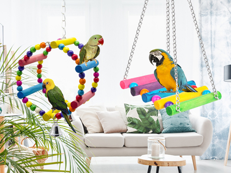 budgie toys