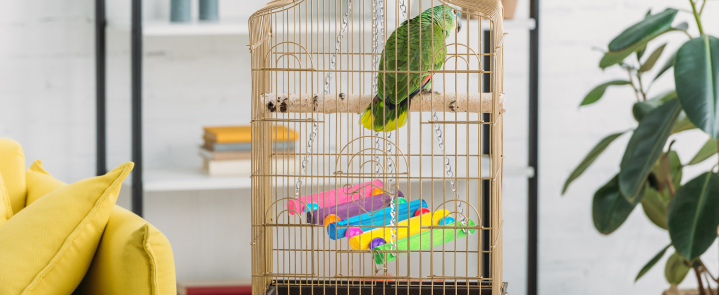 Budgie Toys and Accessories 2 Packs Bird Toys for Caged Birds