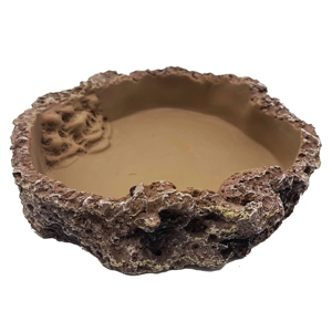 Vivarium feeding bowl