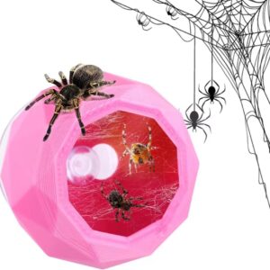 Abizoo Pet Jumping Spider Hidden House, Jumping Spider Enclosure,Reptile hideouts Spider Hide Swing with Suction Cup, Tarantula Enclosure pet Spider and Frog Hide cave Climbing Toys