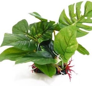 CNZ Landscaping Plastic Plant Decoration for Aquarium Fish Tank Reptile Terrarium