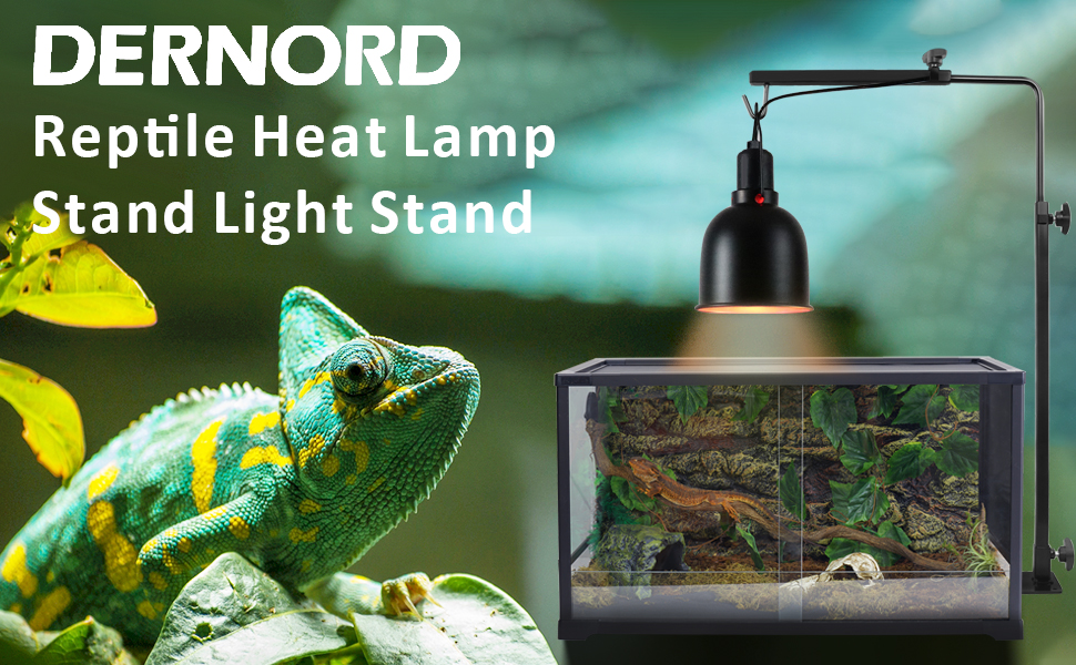 standing lamp heat holders vivarium