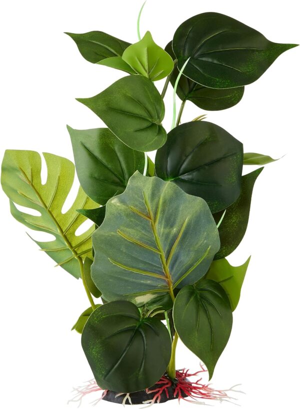 Fluval Anubias Plant for Aquarium, 12-Inch