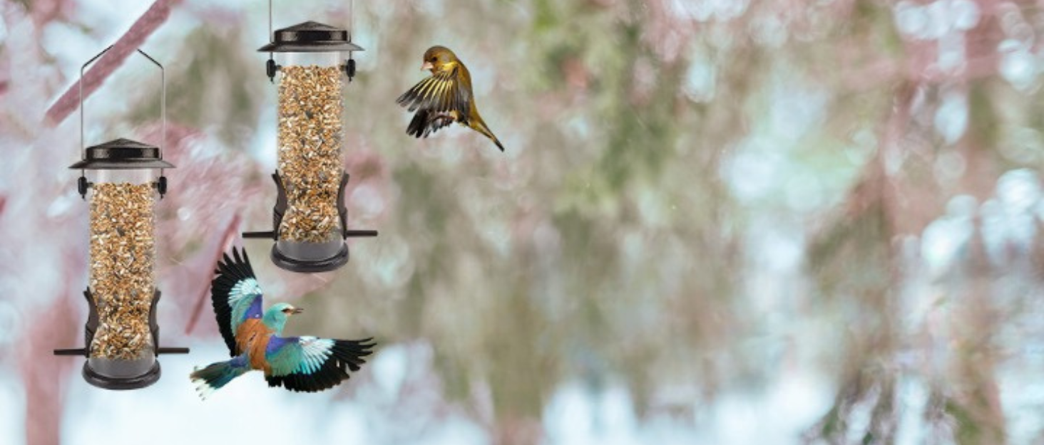 Bird feeder