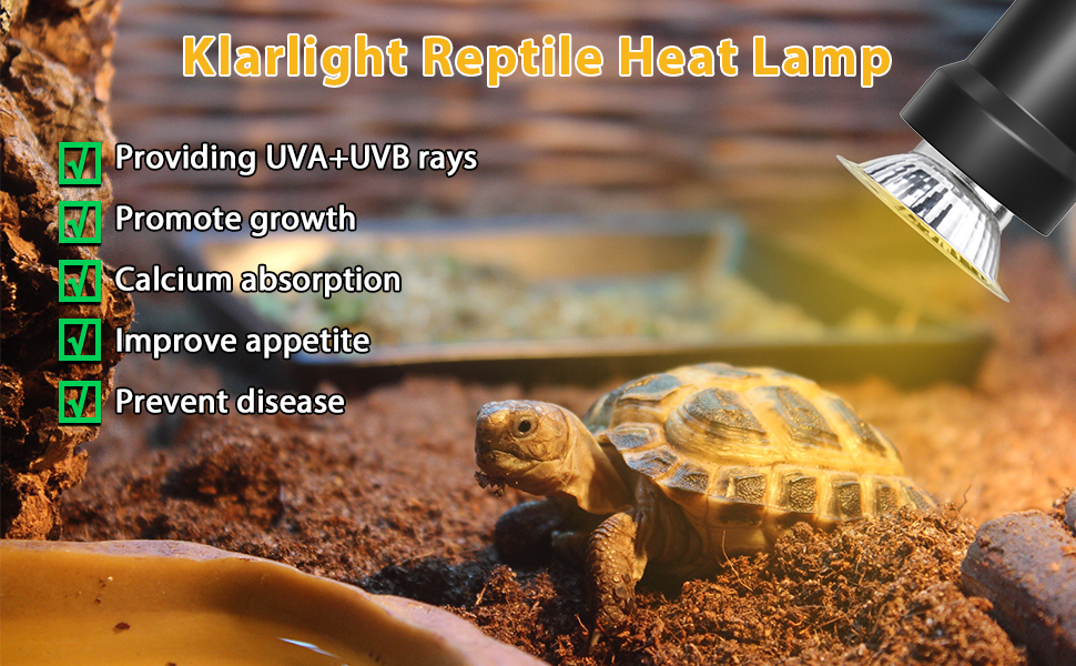 reptile heat lamp