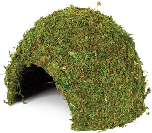 Komodo Large Natural Moss Cave for Reptiles - L