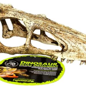 Komodo Raptor Skull, Small