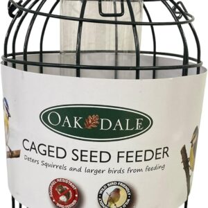 Oakdale Squirrel Resistant Seed Bird Feeder