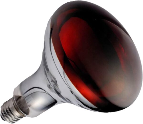 Orvarto Infrared Heat Lamp Bulb, Ruby 150w. for Infra Red Heat Lamps for Poultry, Chicks, Dogs, Puppies, Cats, Kittens, Pigs, Reptiles and Other Animals.