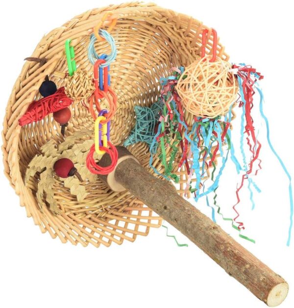 Parrot Essentials Busy Birdie Parrot Perch and bird playground, Colorful Parrot Toy Activity, Encourages Mental, Physical Exercise. Non-toxic Bird Toys For Budgie, Cockatiels, Lovebirds, Bird Perches