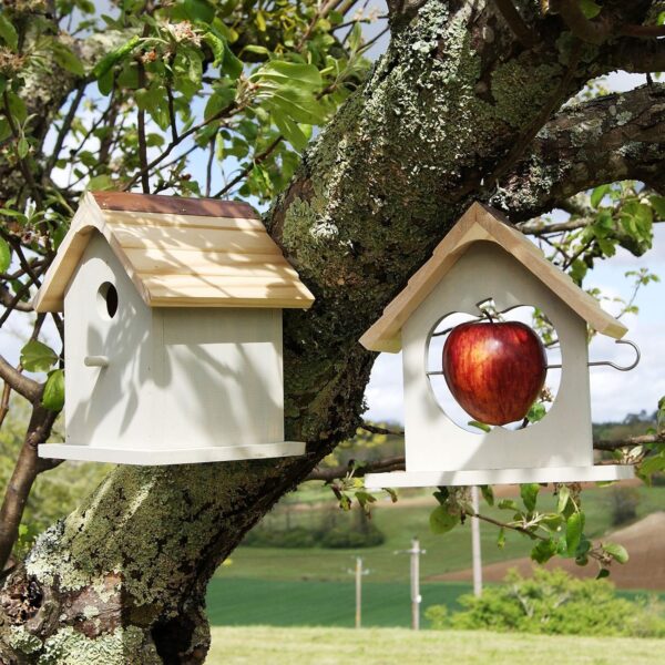 Plant Theatre Bird Nesting Box & Apple Feeder Set, Gift Boxed - Ideal Present