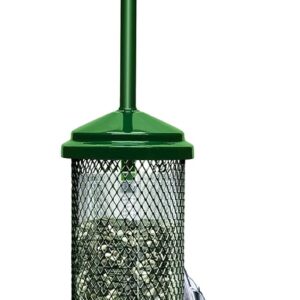 Squirrel Buster Mini Squirrel-proof Bird Feeder w/4 Metal Perches, 0.98-pound Seed Capacity