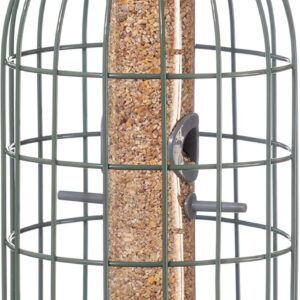 The Nuttery Squirrel Proof Bird Feeder, Ocean Green