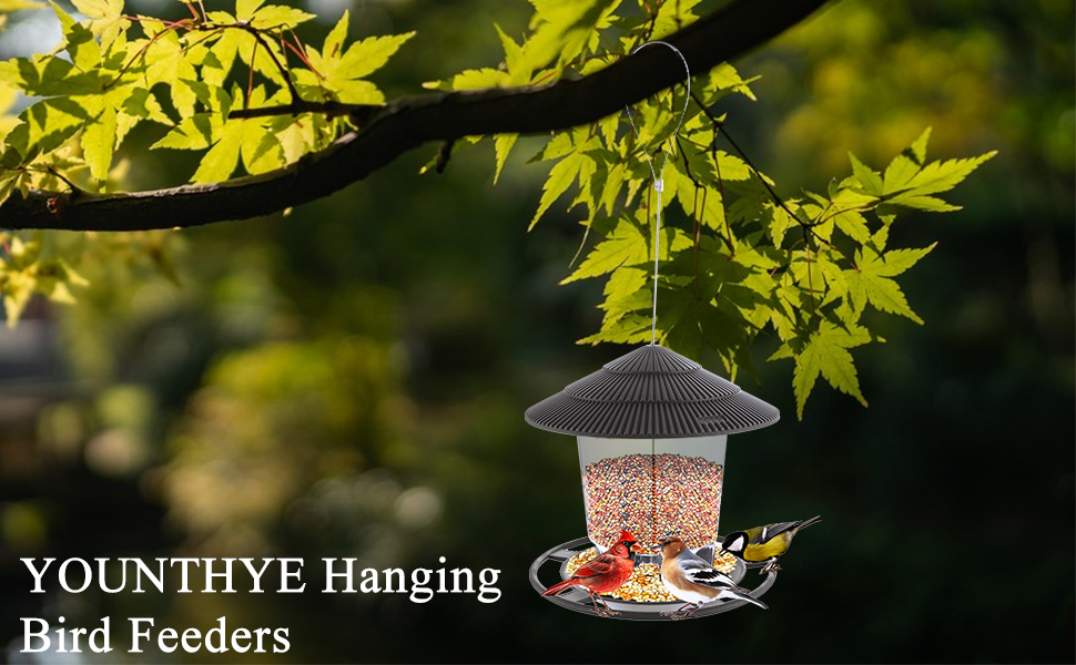 hanging bird feeders