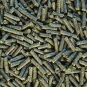 catappa-leaves Spinach Pellets, 50 g for Shrimp, Crabs, Snails Food Sticks