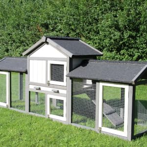 Bramble XL Rabbit Hutch, Guinea Pig Home front view with all doors open. Flat packed easy assemble