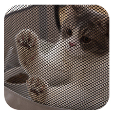 Foldable Pet Playpen Dog Cat Pet pen Portable Puppy Playpen Portable Dog Cage Portable Pet Cage