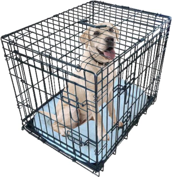 Ellie-Bo Black Deluxe Small 24-inch Folding 2-Door Dog Cage/Crate with Metal Tray and Dog Bed Mat