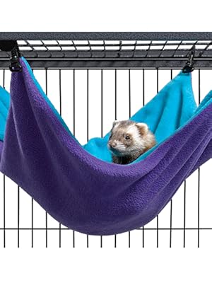 hammock