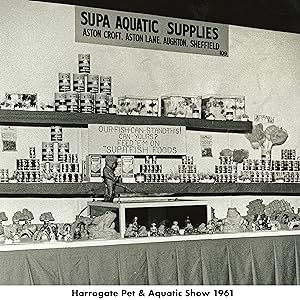 Harrogate Pet &amp;amp;amp;amp;amp;amp;amp; Aquatic Show 1961