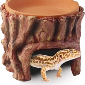 SORWATEE 2 in 1 Reptile Hide Cave with Humidity Dish, Essential Tank Terrarium Decor Humid Hideout Accessories for Small Reptiles Leopard Gecko, Crested Gecko, Lizard, Snake